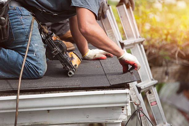 Best Flat Roof Repair Services  in Dana, NC