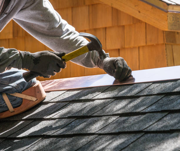 Best Commercial Roofing Services  in Dana, NC